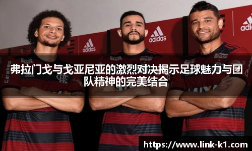 k1体育官网入口