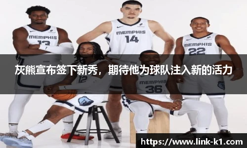 k1体育官网入口