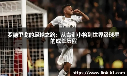 k1体育官网入口