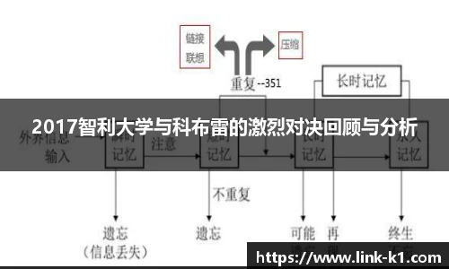 k1体育官网入口
